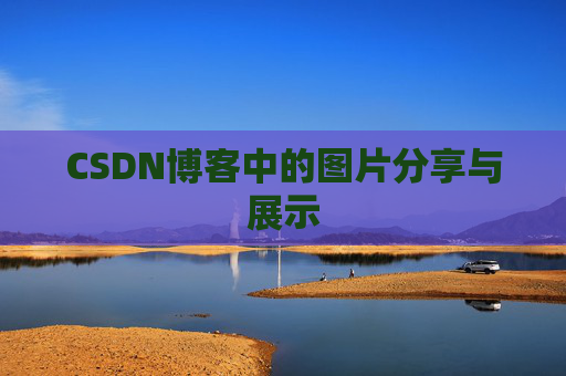 CSDN博客中的图片分享与展示